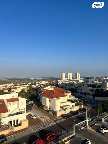 יגאל ידין 11