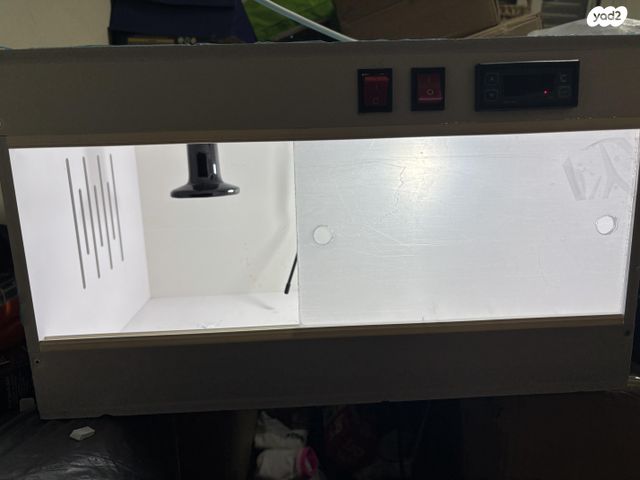 תמונת מודעה - חיות מחמד