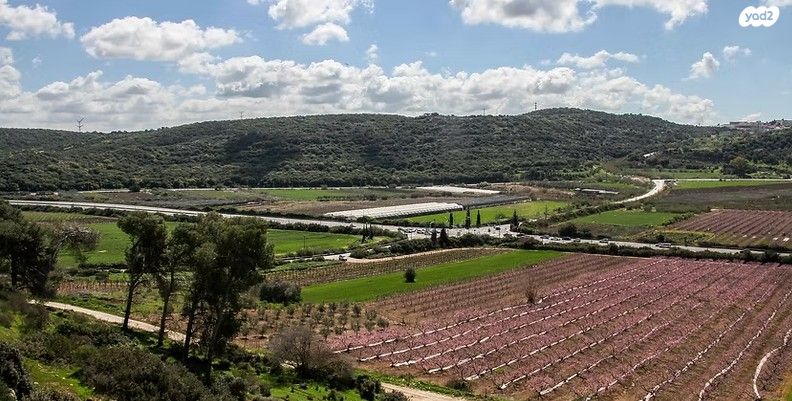 שדרות מעוף הציפור 1