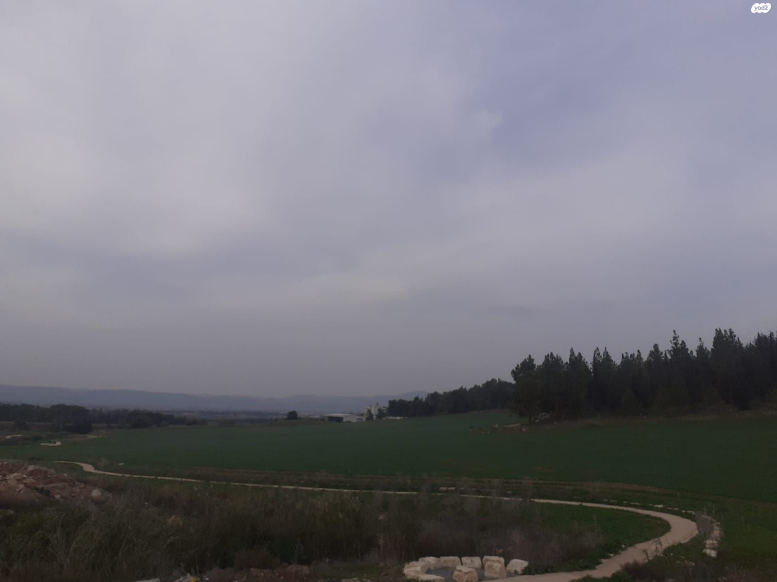 בית"ר 11