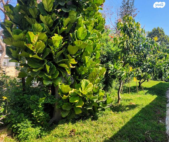 דו משפחתי, מרכז מזרחי, נס ציונה