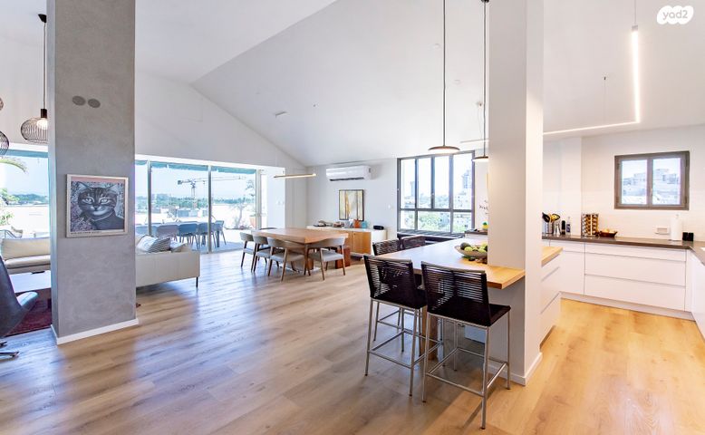 גג/ פנטהאוז