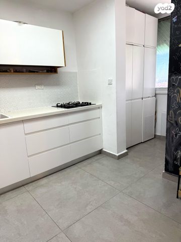 דירה, אהוד דולינסקי, אושיות, רחובות