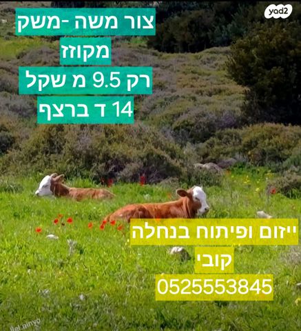 משק חקלאי/ נחלה