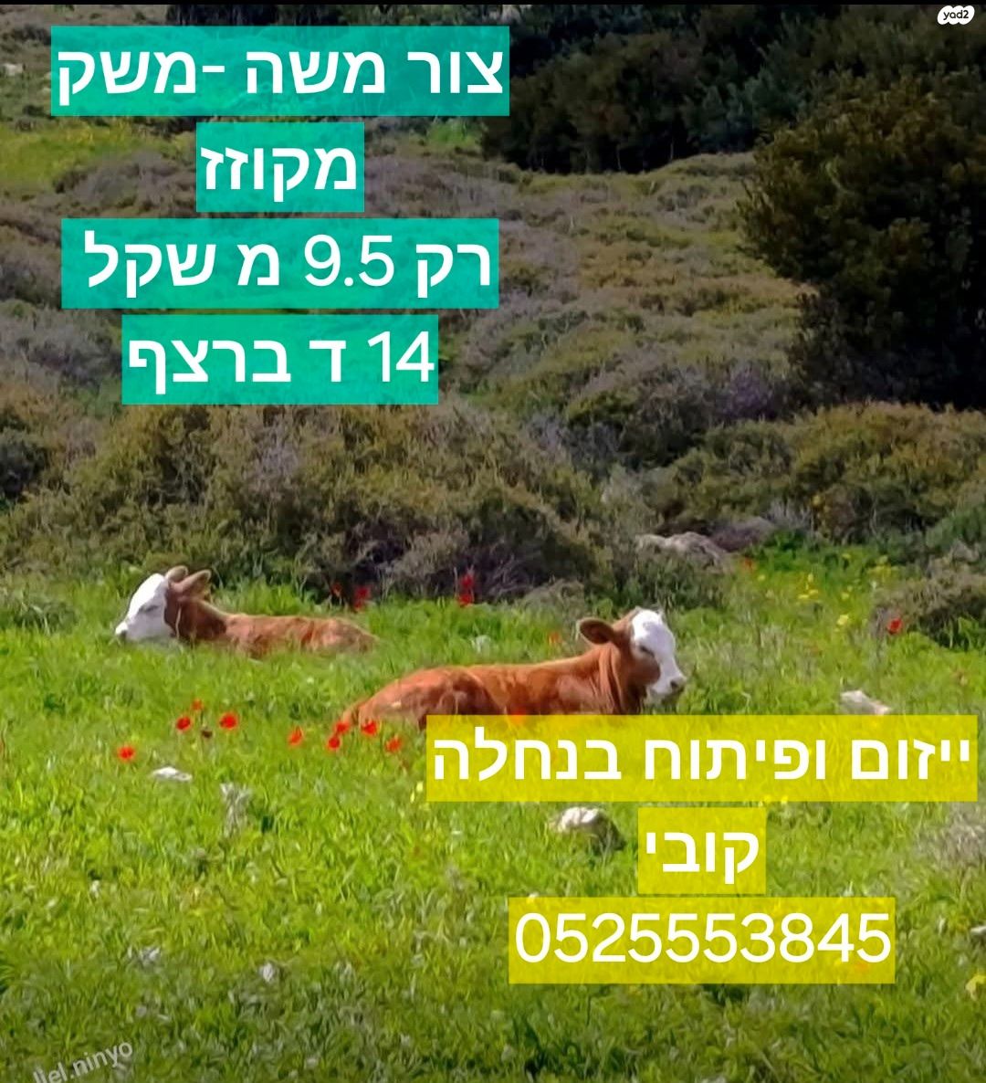 משק חקלאי/ נחלה