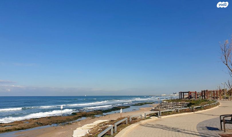 גג/ פנטהאוז