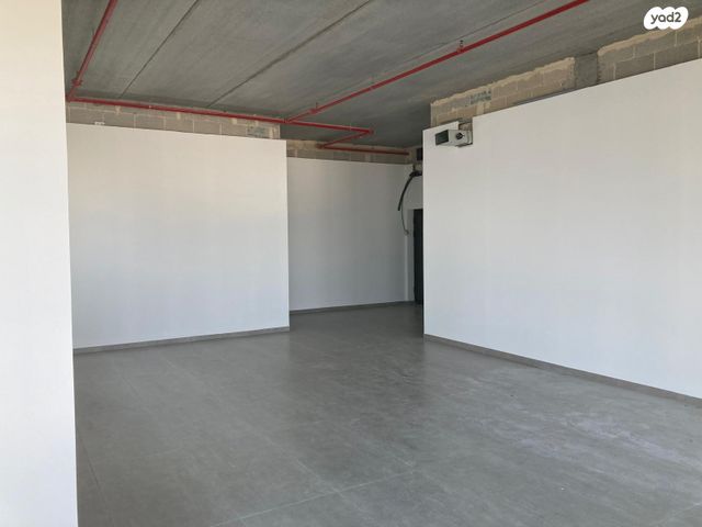 משרדים, שביט, נס ציונה