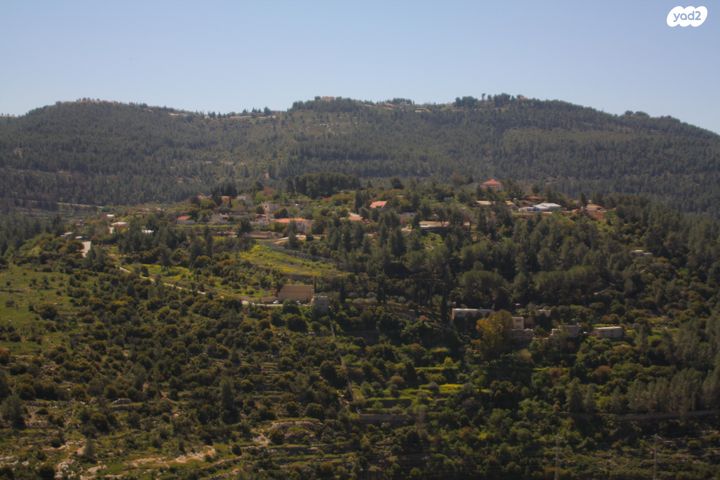 יהלום 15