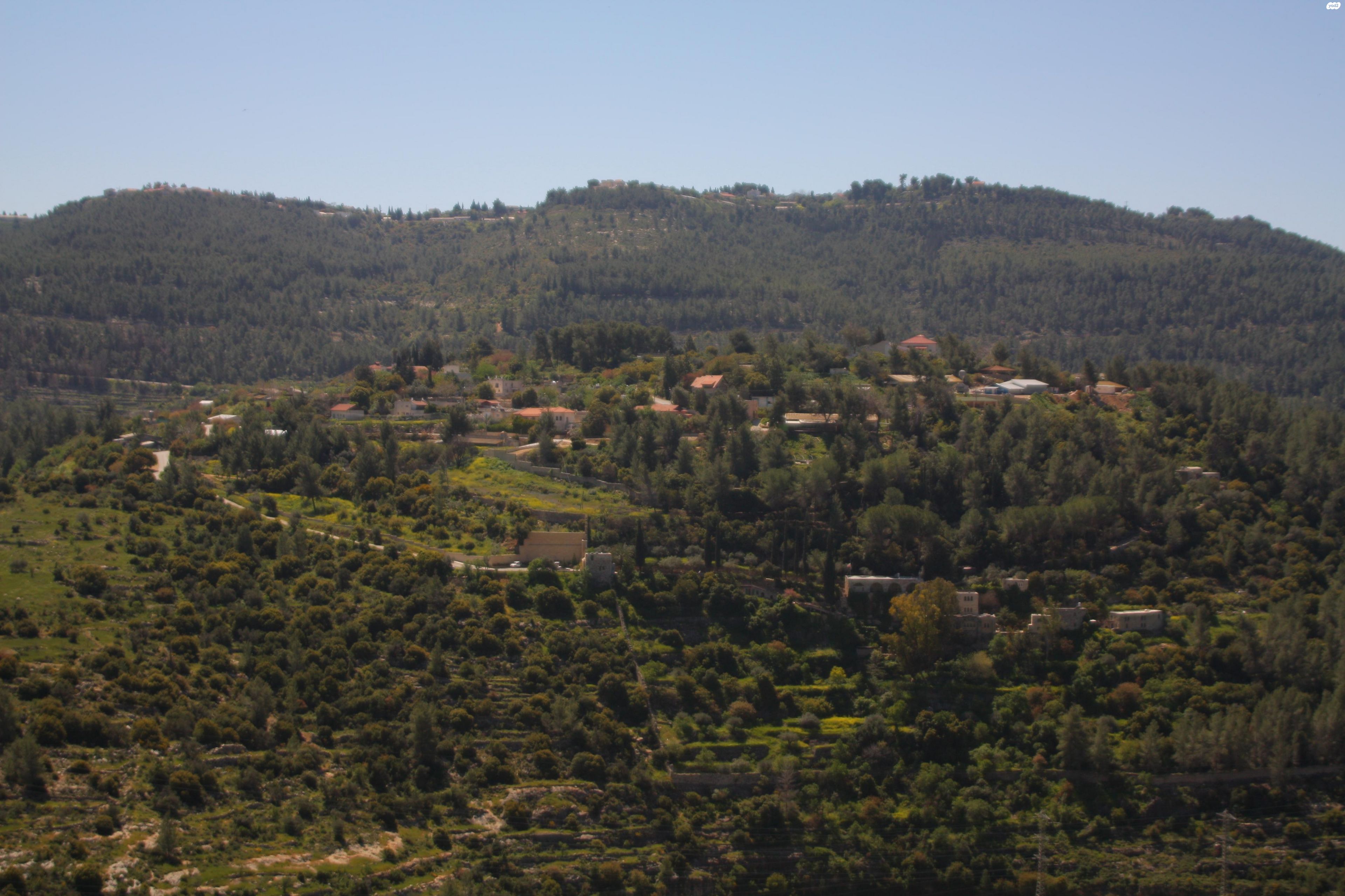 יהלום 15