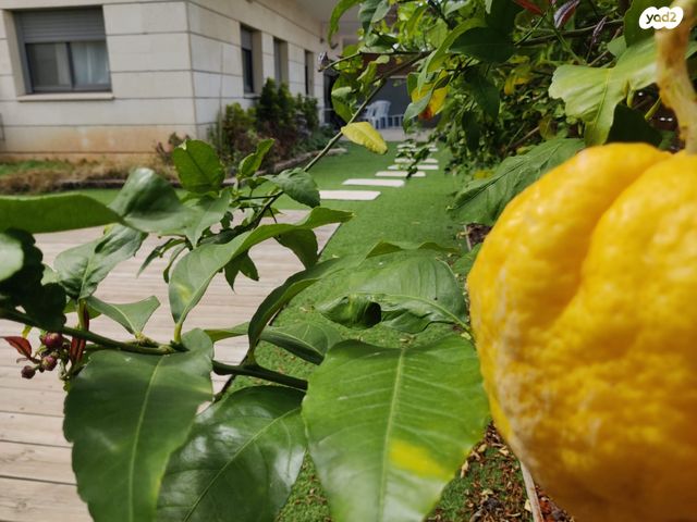 דירת גן, הפרחים, חריש