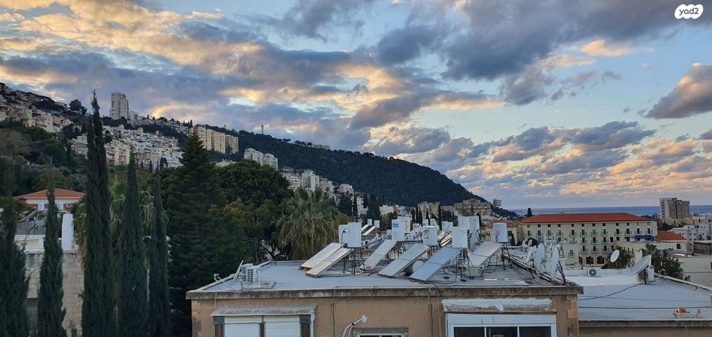 גג/ פנטהאוז, הגפן 9, חיפה