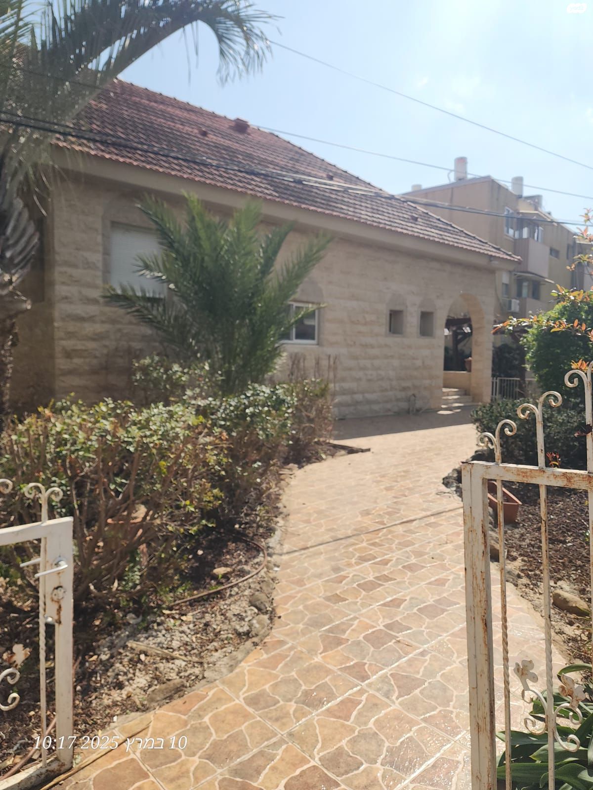 סלומונוביץ 9