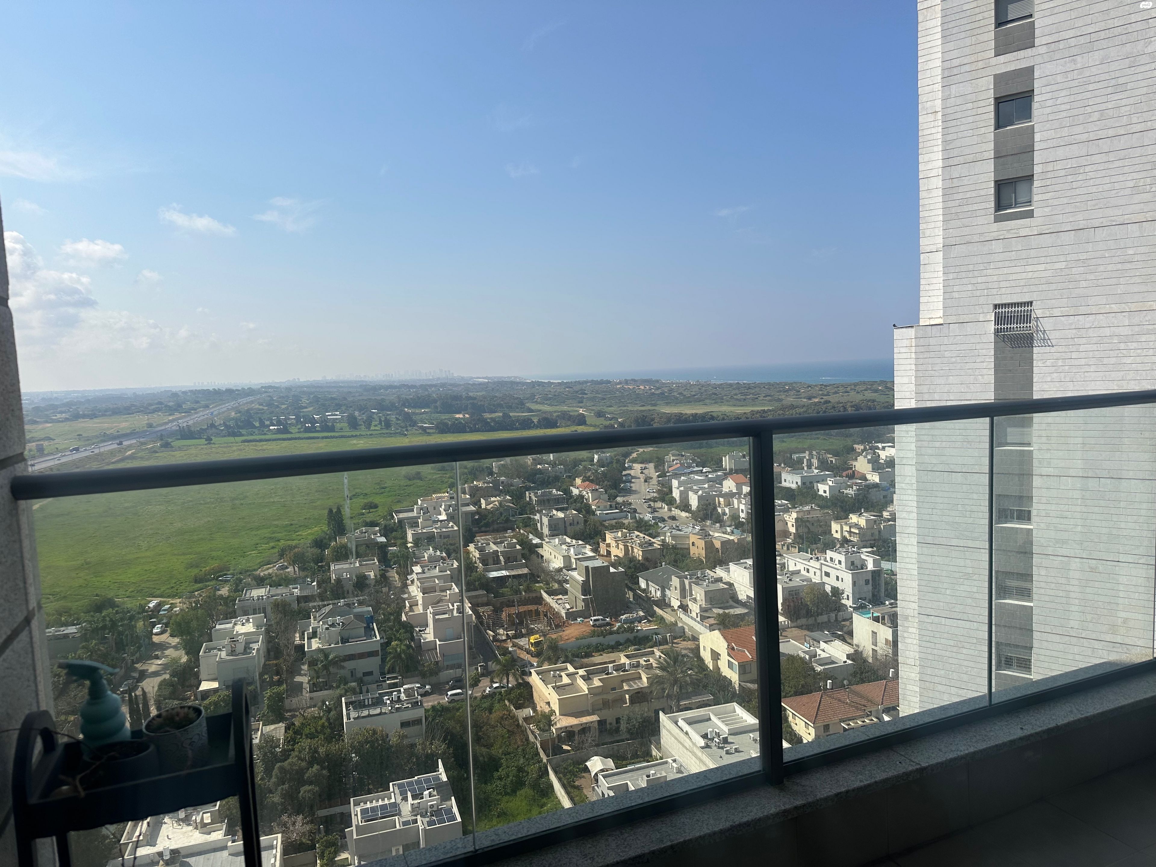 הדודאים 