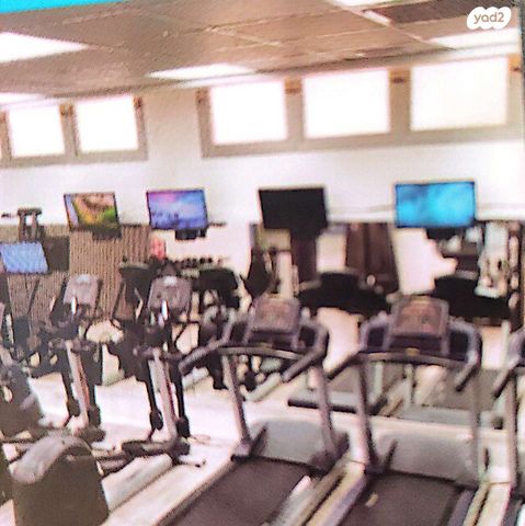 דירה, שלמה בן יוסף, רמת אביב ג', תל אביב יפו