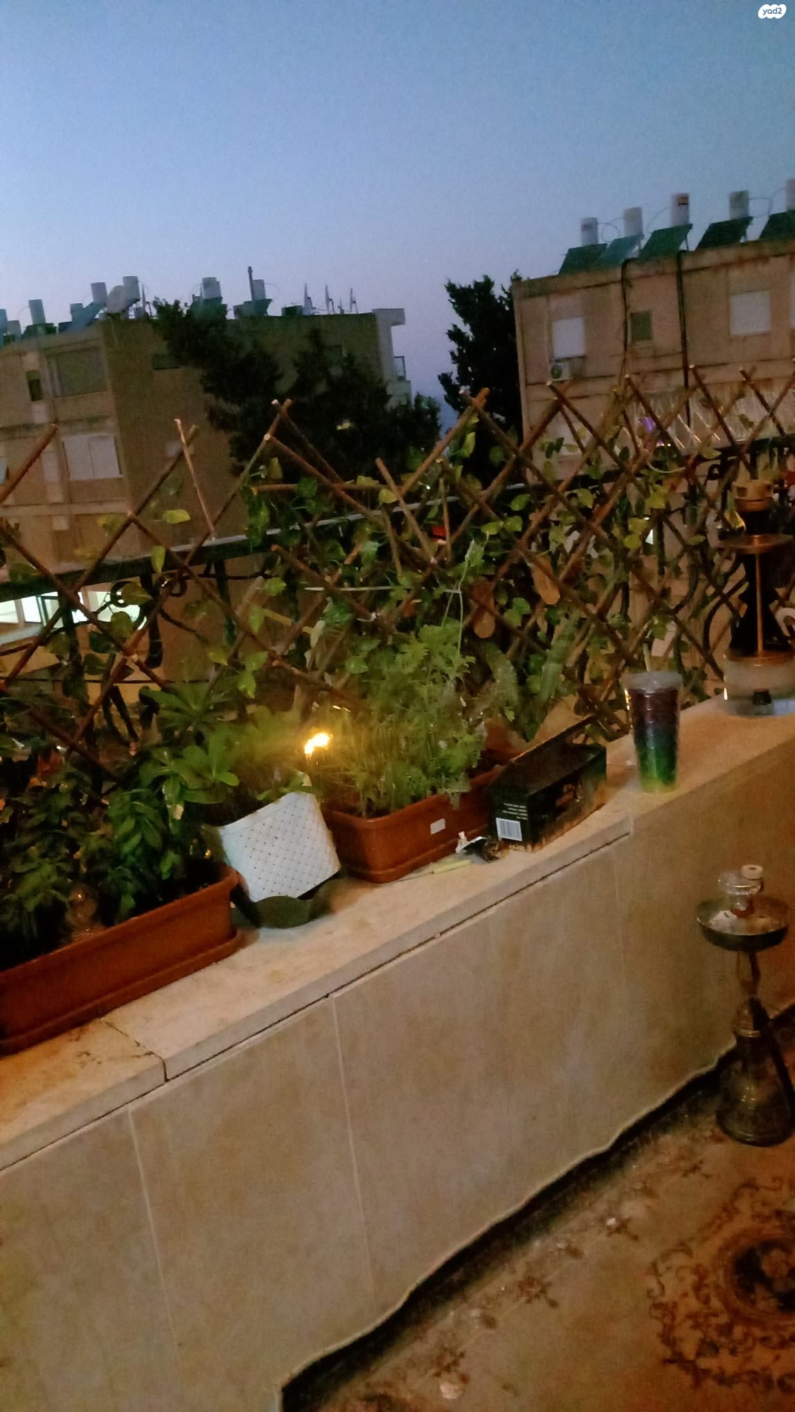 עבאס 49