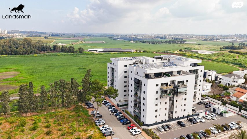 דוד וולפסון 17