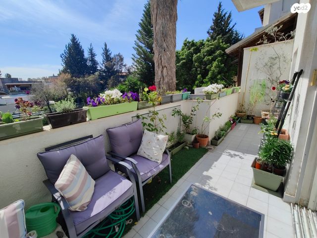 דירה, מגידו, הדר, כרמיאל