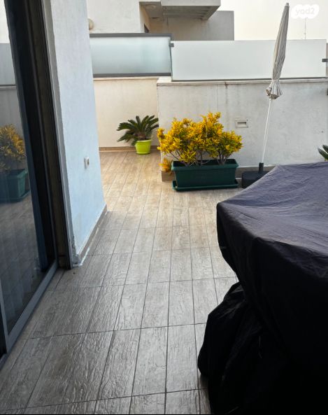 דופלקס, אירוס הארגמן, גבעת האירוסים, נתניה