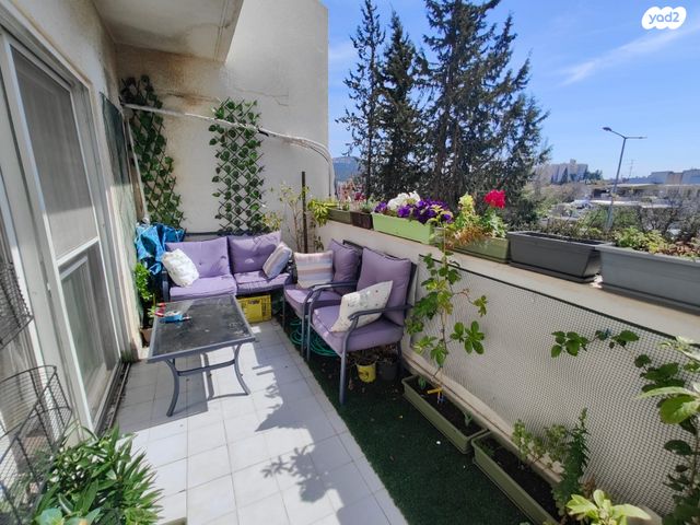 דירה, מגידו, הדר, כרמיאל