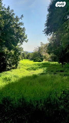 מגרשים, שירת השחרור, גני עם