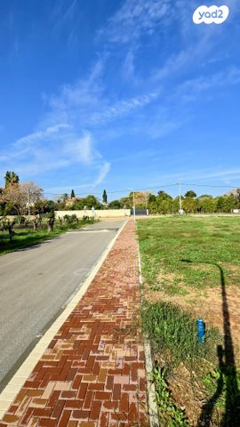 מגרשים, גני עם