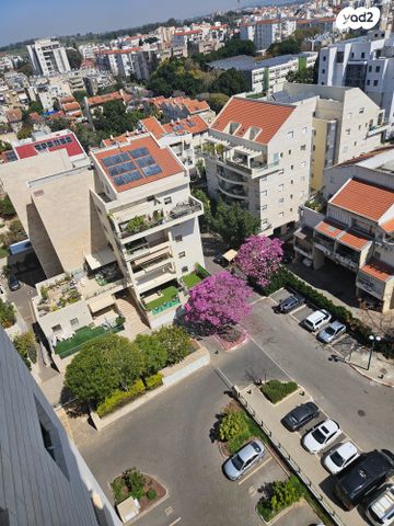 דירה, אלוף עוזי נרקיס, מרכז, כפר סבא