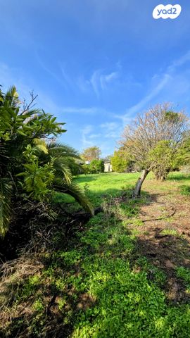 מגרשים, גני עם