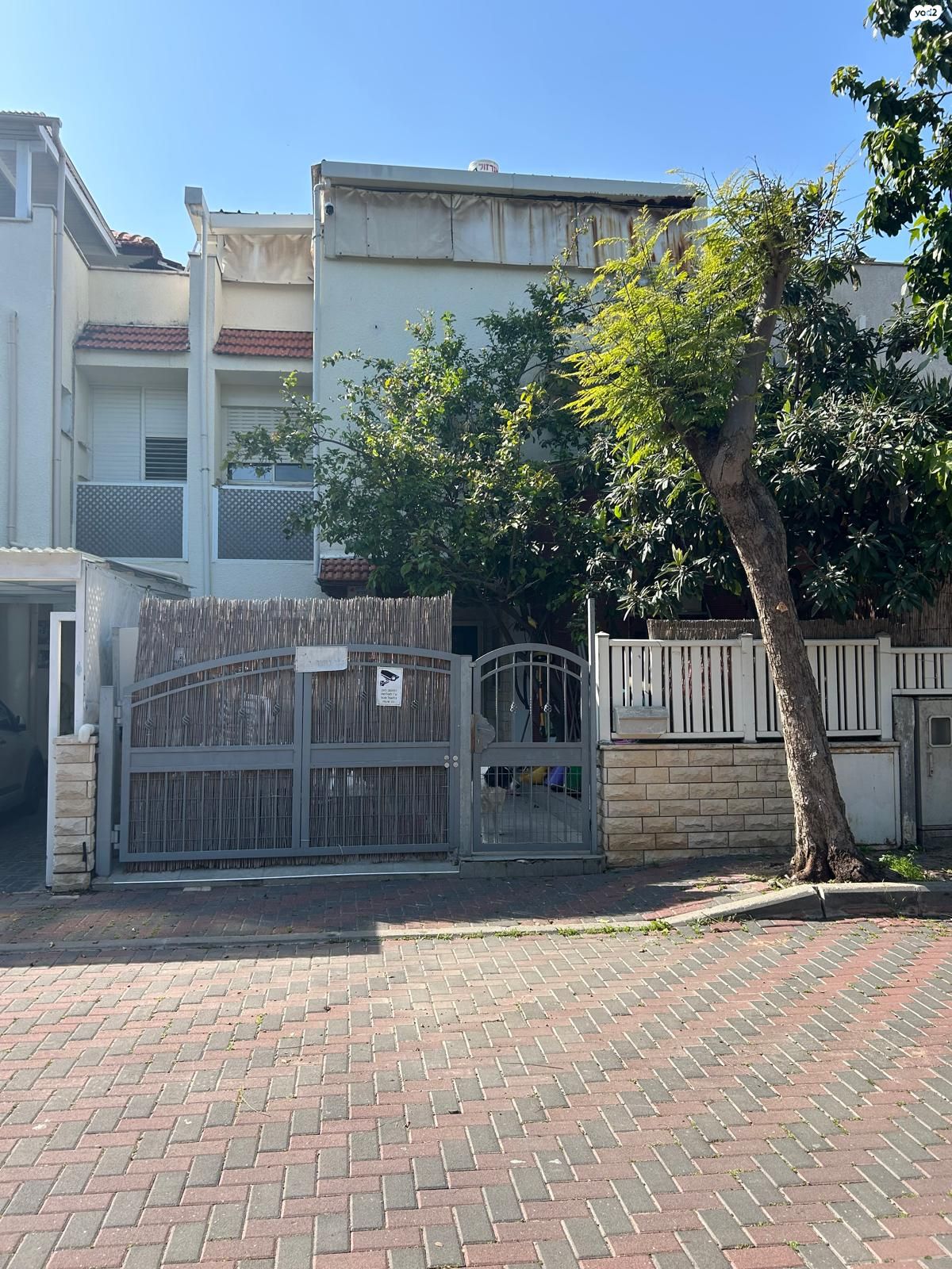 נורית 1