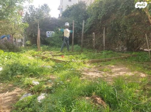 דירה, רמז 36, הצפון החדש - כיכר המדינה, תל אביב יפו