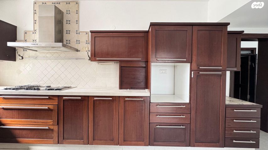 גג/ פנטהאוז, זאב יעבץ 13, א' / צפון מזרח העיר, רחובות