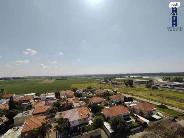 דירה, הנבל, שמשון, חדרה הצעירה, חדרה