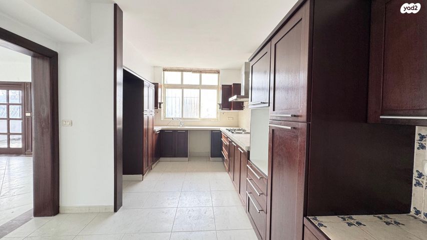 גג/ פנטהאוז, זאב יעבץ 13, א' / צפון מזרח העיר, רחובות