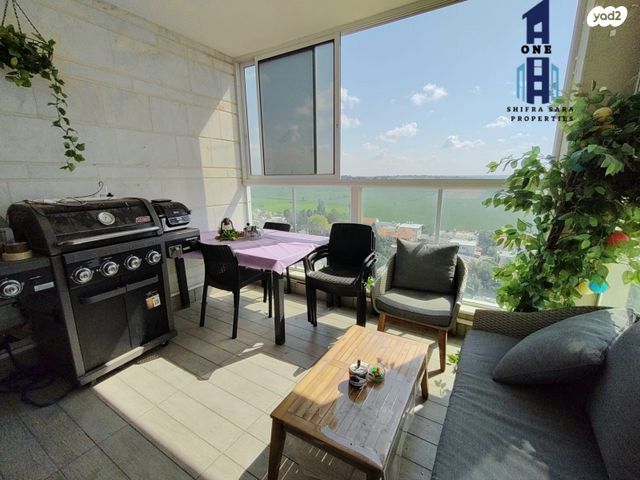 דירה, הנבל, שמשון, חדרה הצעירה, חדרה