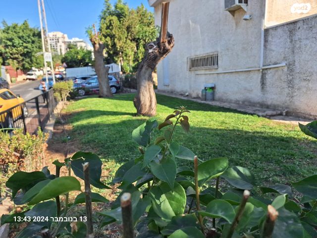 דו משפחתי, מלצ'ט, הותיקה, קרית אונו