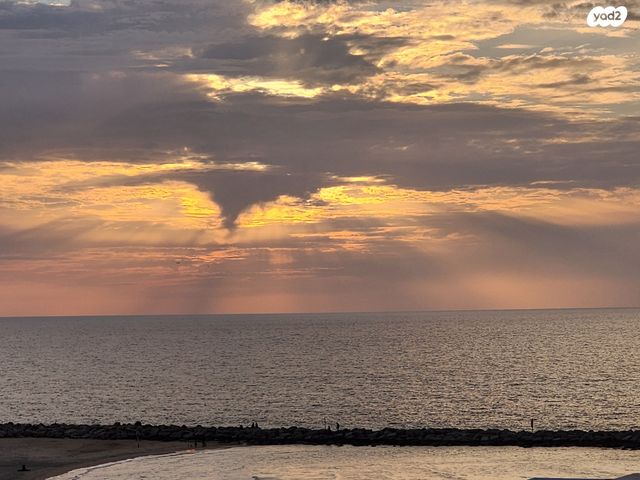 דירה, הירקון, הצפון הישן - צפון, תל אביב יפו