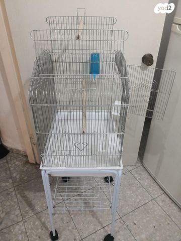 תוכי קוקוטייל