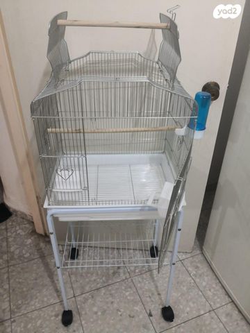 תוכי קוקוטייל