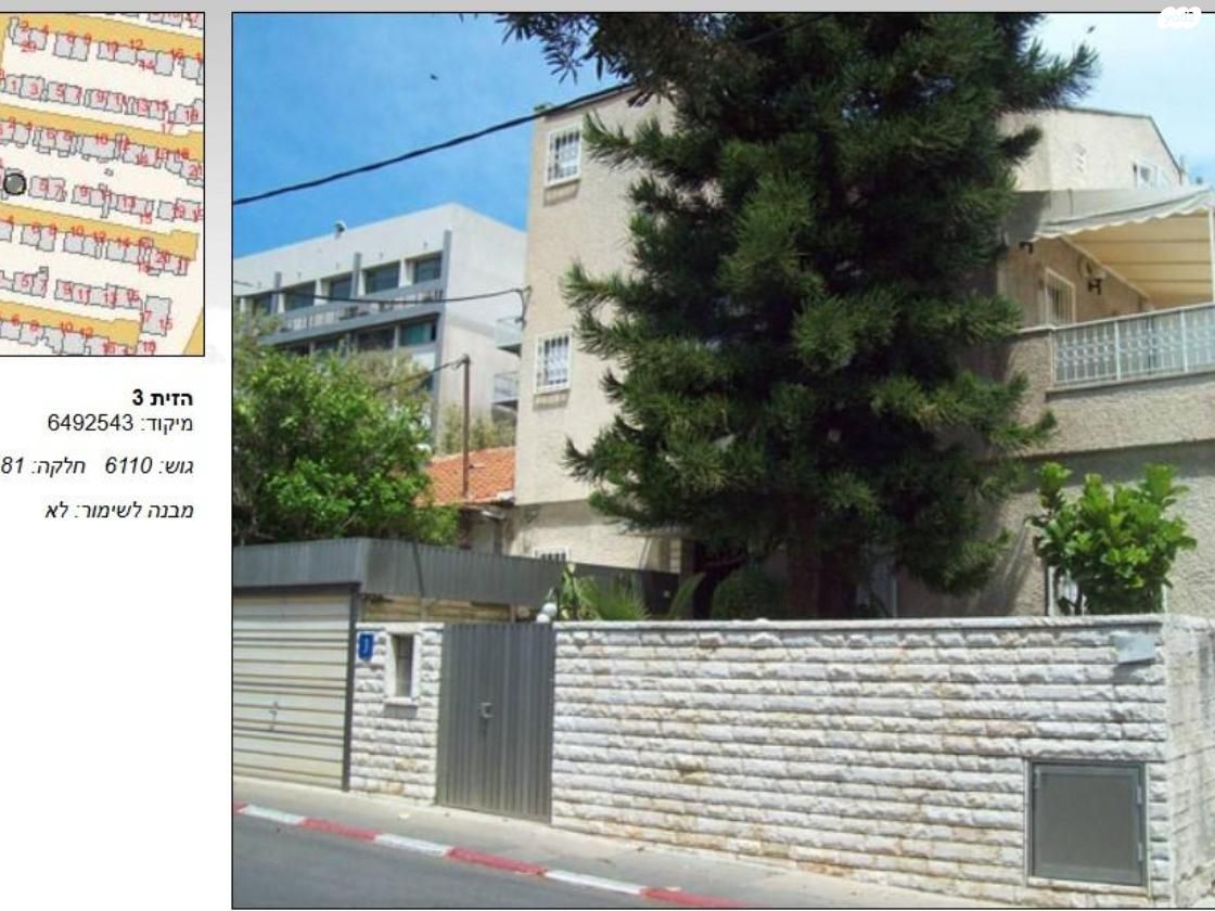 הזית 3