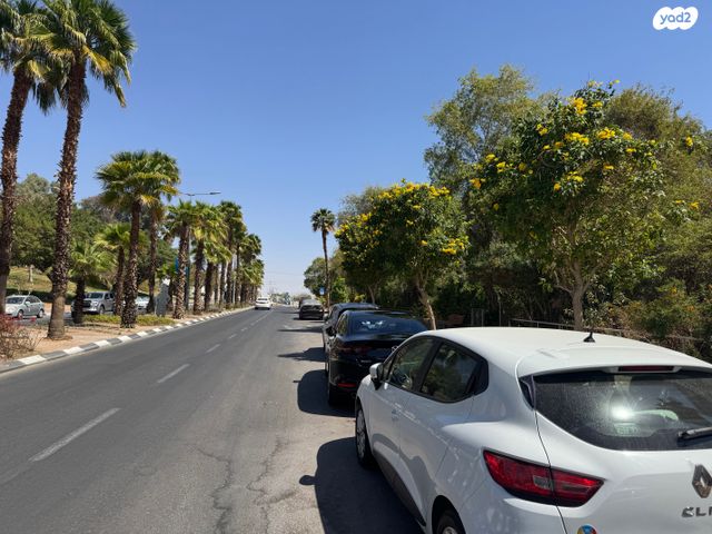צופית תחתית