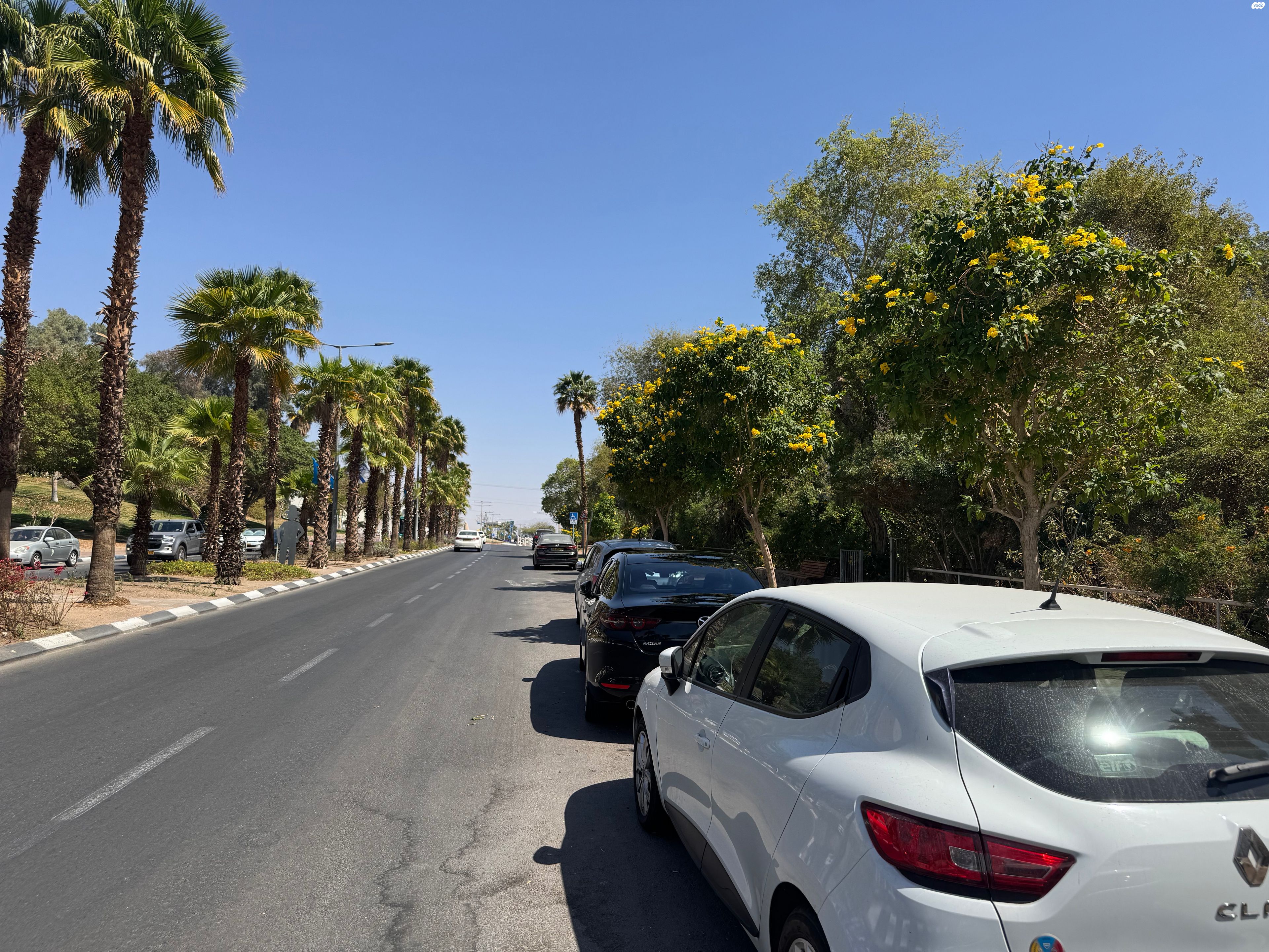 צופית תחתית