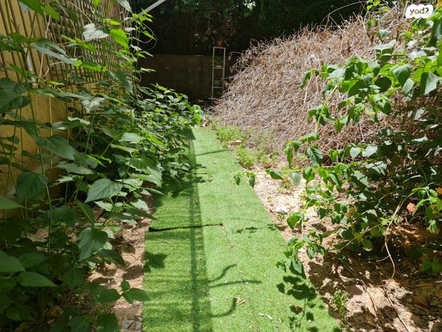 דירה, הצפון הישן - דרום, תל אביב יפו