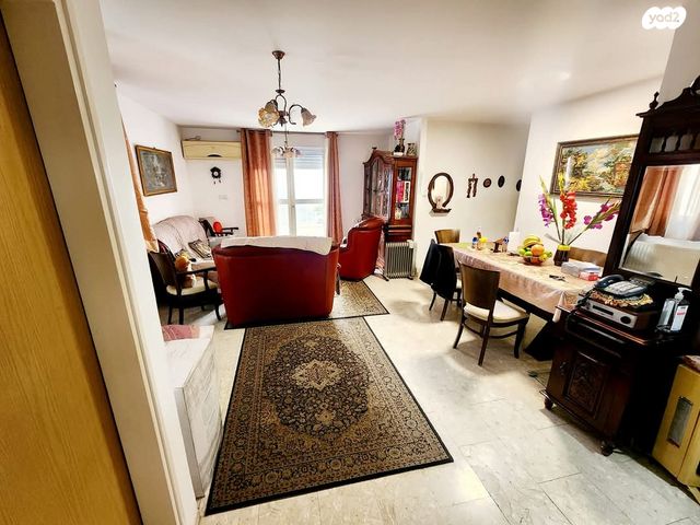 אריה דולצ'ין 