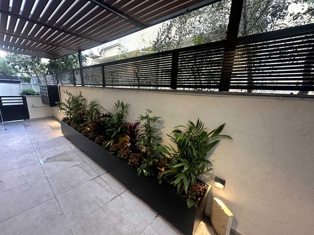 דירה, בן יהודה 244, הצפון הישן - צפון, תל אביב יפו