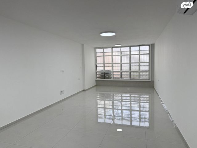 אברהם שפירא 