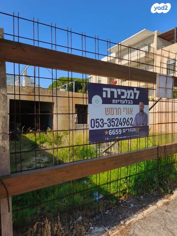 מגרשים, זאב ז'בוטינסקי, חיפה