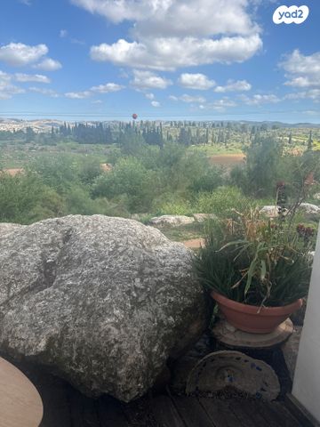 אביטל 30