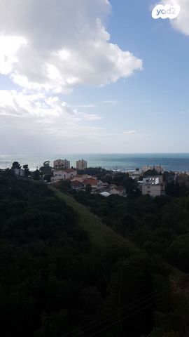 דוד בר רב האי 