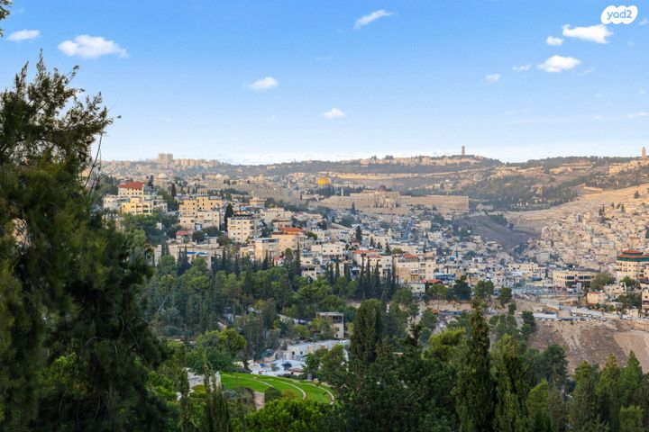 דופלקס, מרדכי כספי, ירושלים