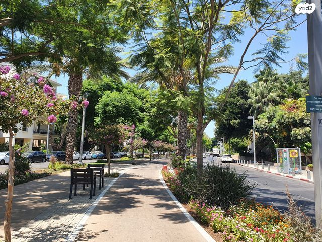 דירה, הדסה, הצפון הישן - צפון, תל אביב יפו