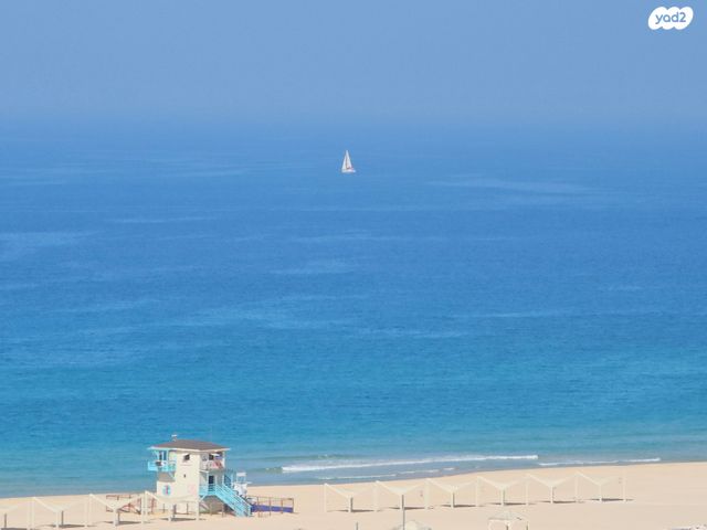 ג'ו עמר 4